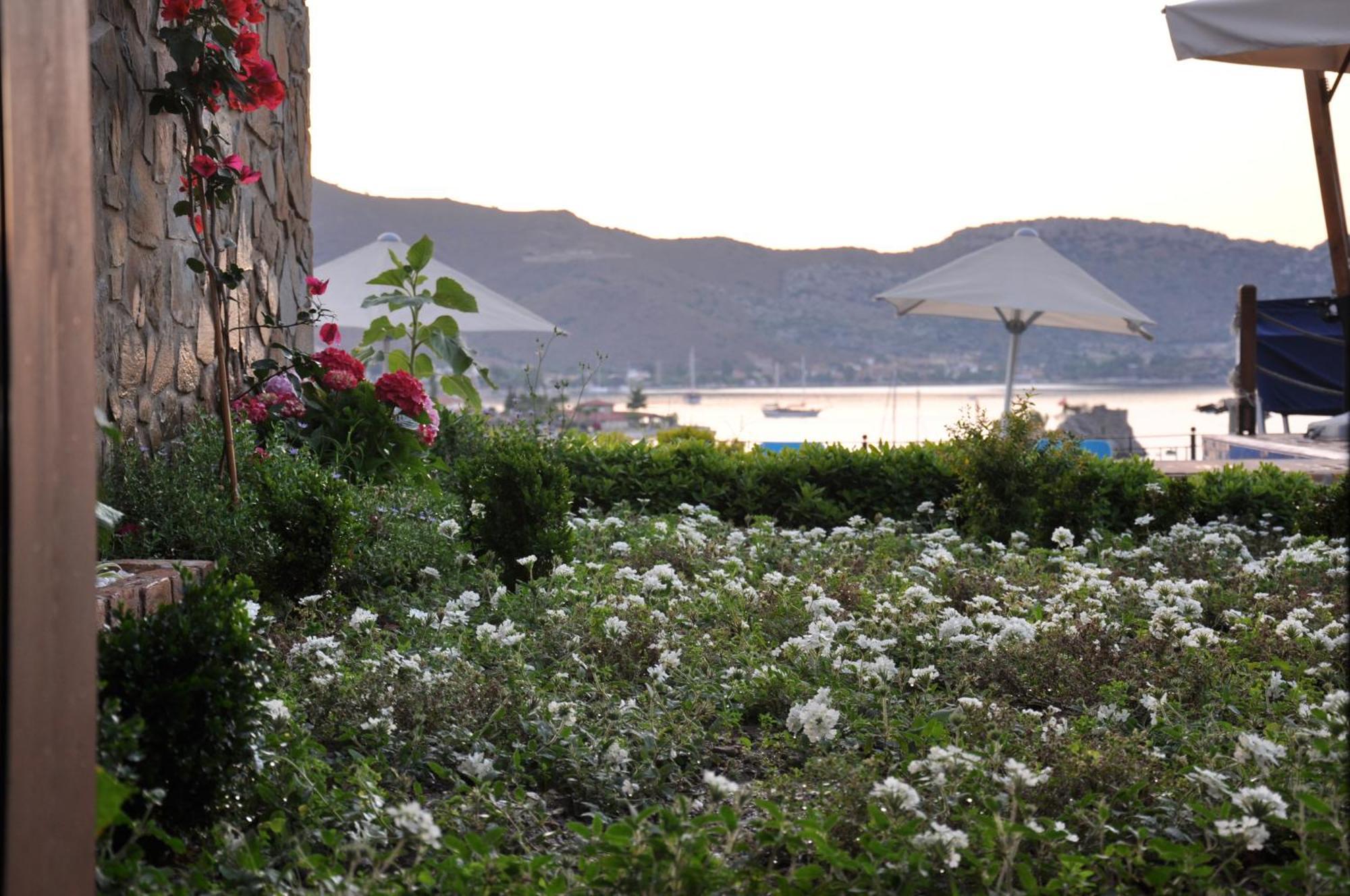 Badem Tatil Evi 셀리미예 객실 사진