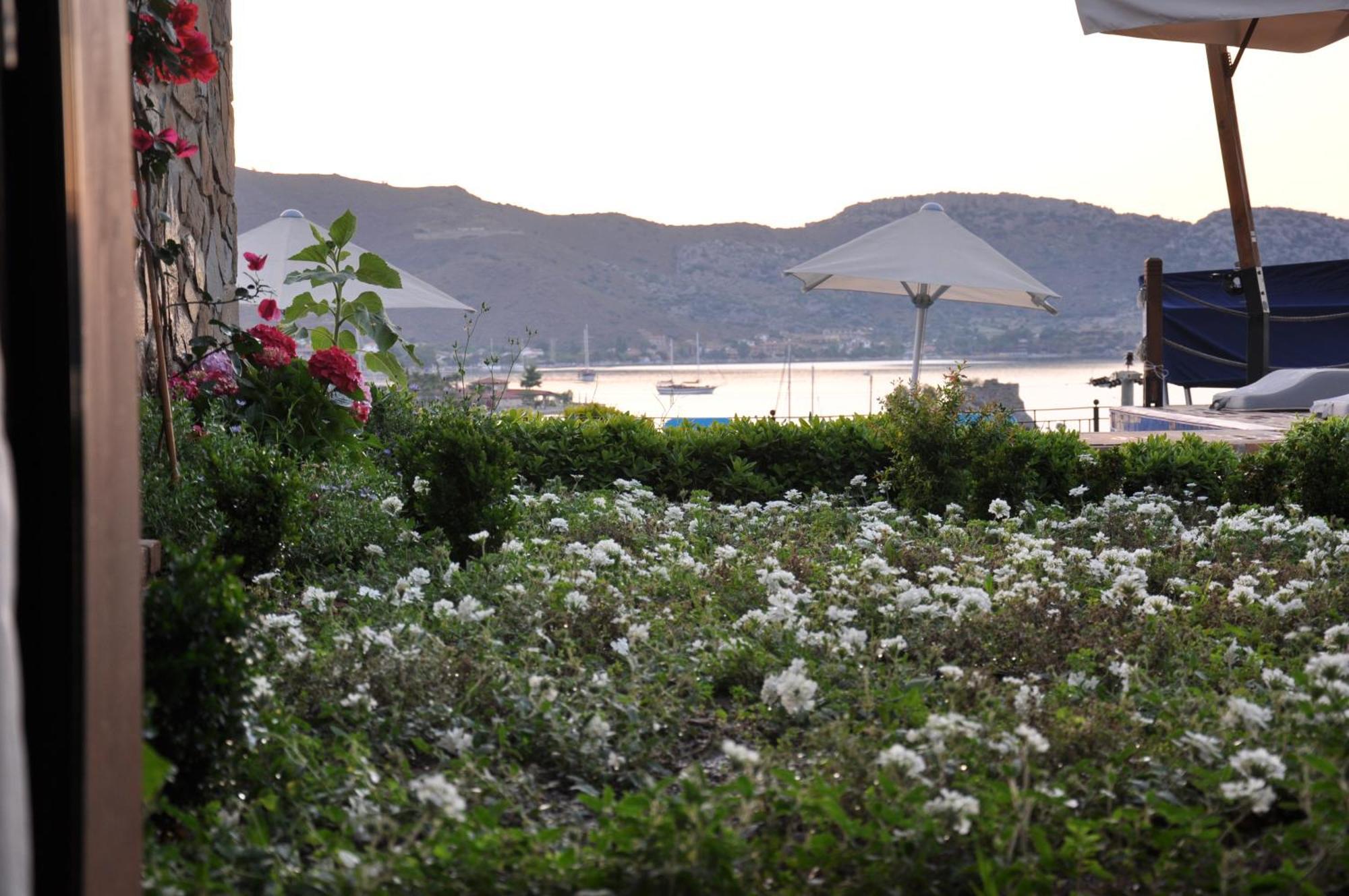 Badem Tatil Evi 셀리미예 객실 사진